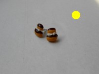 /album/les-gateaux-et-biscuits-/dscn0551-jpg/