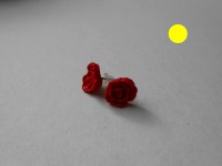 /album/les-fleurs-/dscn0539-jpg/