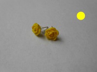 /album/les-fleurs-/dscn0529-jpg/