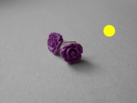 /album/les-fleurs-/dscn0538-jpg/