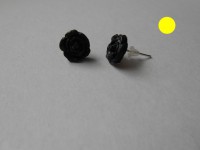 /album/les-fleurs-/dscn0532-jpg/