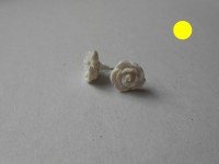 /album/les-fleurs-/dscn0535-jpg/