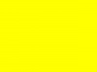 boucles d'oreilles puces : 2.50€ 